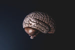 MIND